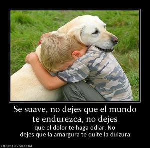 Se suave, no dejes que el mundo te endurezca, no dejes que el dolor te haga odiar. No dejes que la amargura te quite la dulzura