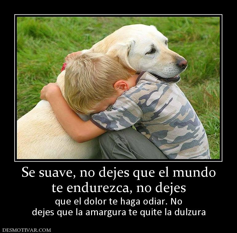 Se suave, no dejes que el mundo te endurezca, no dejes que el dolor te haga odiar. No dejes que la amargura te quite la dulzura