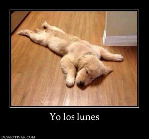 Yo los lunes