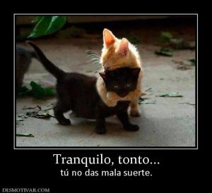 Tranquilo, tonto... tú no das mala suerte.