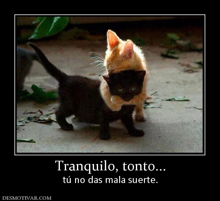 Tranquilo, tonto... tú no das mala suerte.