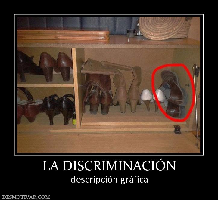 LA DISCRIMINACIÓN descripción gráfica