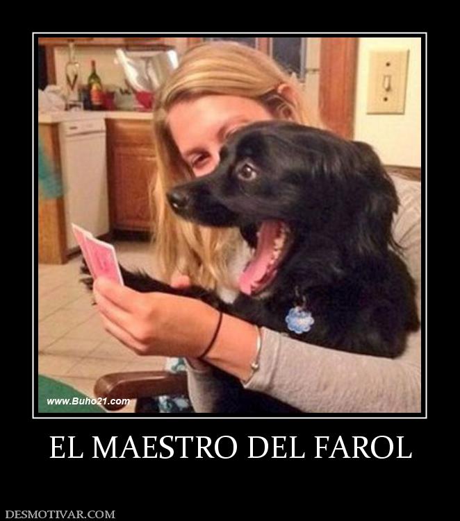 EL MAESTRO DEL FAROL