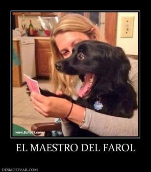 EL MAESTRO DEL FAROL