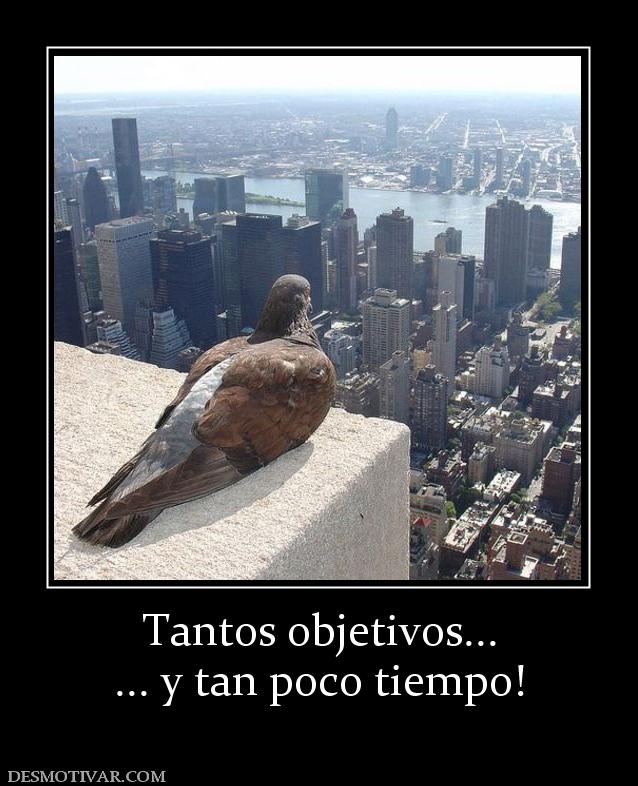 Tantos objetivos... ... y tan poco tiempo!