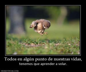 Todos en algún punto de nuestras vidas tenemos que aprender a volar.