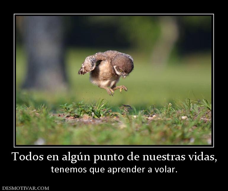 Todos en algún punto de nuestras vidas tenemos que aprender a volar.