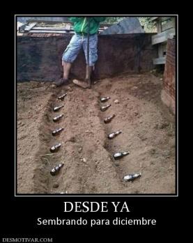 DESDE YA Sembrando para diciembre