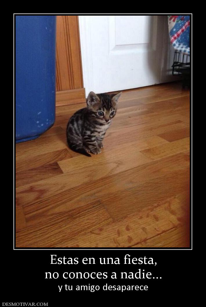 Estas en una fiesta, no conoces a nadie... y tu amigo desaparece