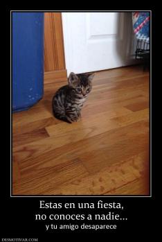 Estas en una fiesta, no conoces a nadie... y tu amigo desaparece