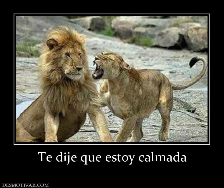 Te dije que estoy calmada