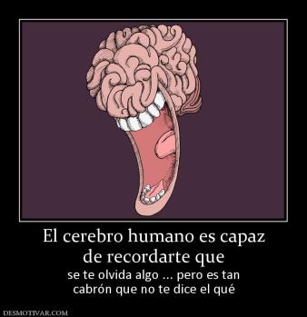 El cerebro humano es capaz de recordarte que se te olvida algo ... pero es tan cabrón que no te dice el qué