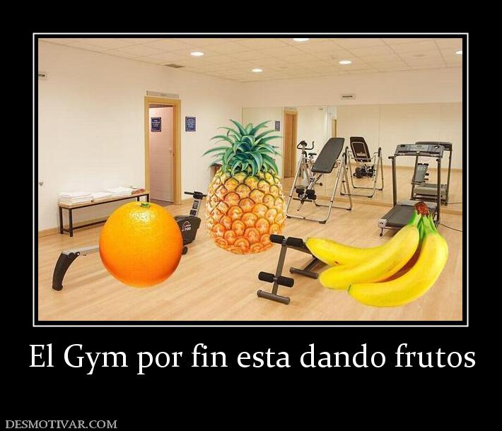 El Gym por fin esta dando frutos