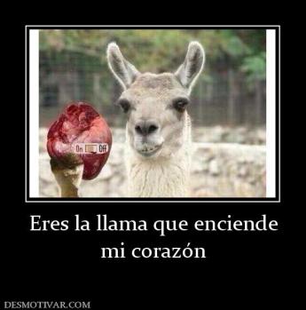 Eres la llama que enciende mi corazón