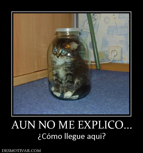 AUN NO ME EXPLICO... ¿Cómo llegue aqui?