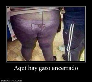 Aqui hay gato encerrado