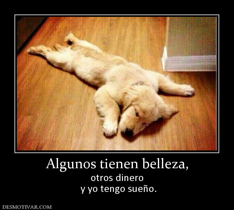 Algunos tienen belleza, otros dinero  y yo tengo sueño.