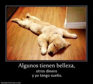 Algunos tienen belleza, otros dinero  y yo tengo sueño.