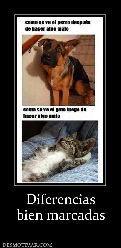 Diferencias bien marcadas