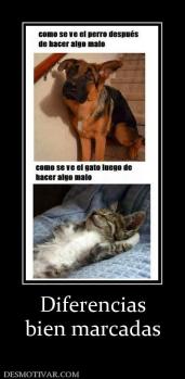 Diferencias bien marcadas