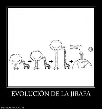EVOLUCIÓN DE LA JIRAFA