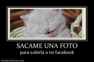 SACAME UNA FOTO para subirla a mi facebook