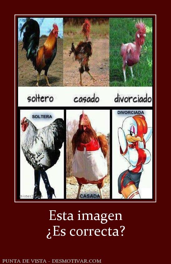 Esta imagen ¿Es correcta?