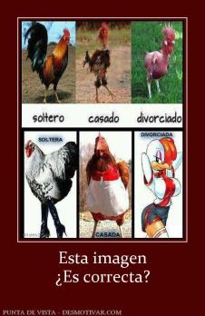 Esta imagen ¿Es correcta?