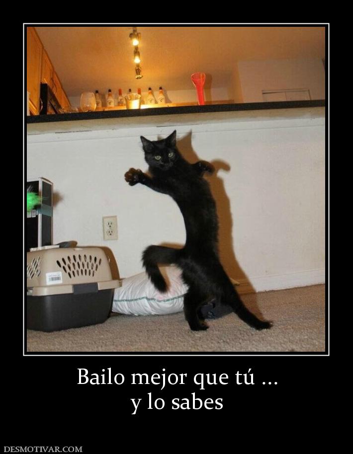 Bailo mejor que tú ... y lo sabes