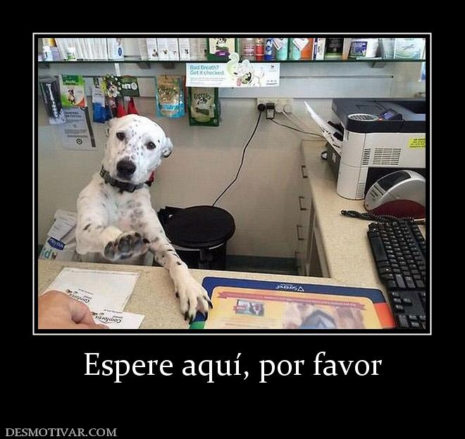 Espere aquí, por favor