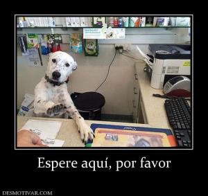 Espere aquí, por favor