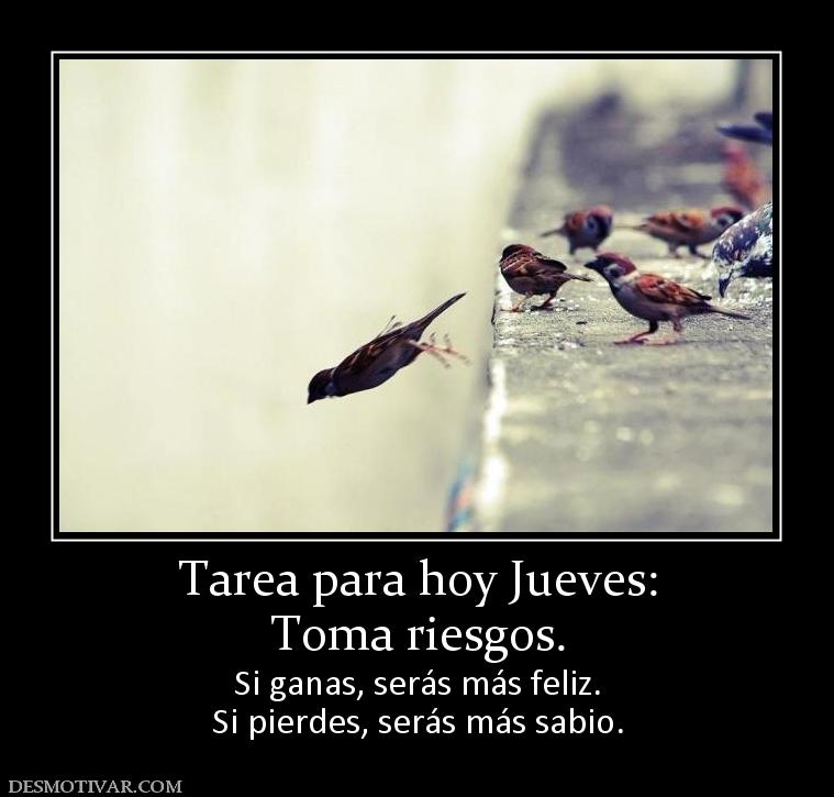 Tarea para hoy Jueves: Toma riesgos.  Si ganas, serás más feliz. Si pierdes, serás más sabio.