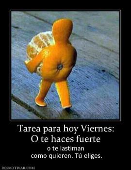 Tarea para hoy Viernes: O te haces fuerte o te lastiman  como quieren. Tú eliges.