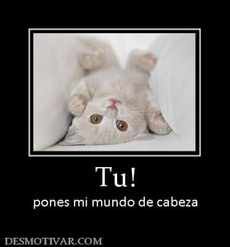 Tu! pones mi mundo de cabeza