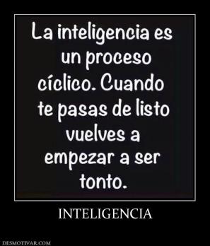 INTELIGENCIA