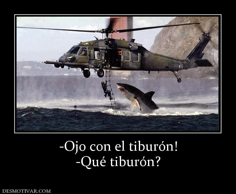 -Ojo con el tiburón! -Qué tiburón?