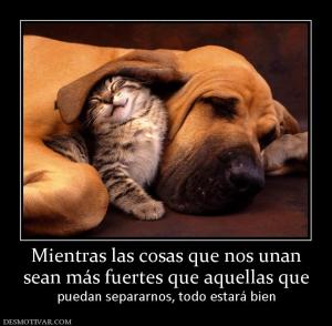 Mientras las cosas que nos unan sean más fuertes que aquellas que puedan separarnos, todo estará bien