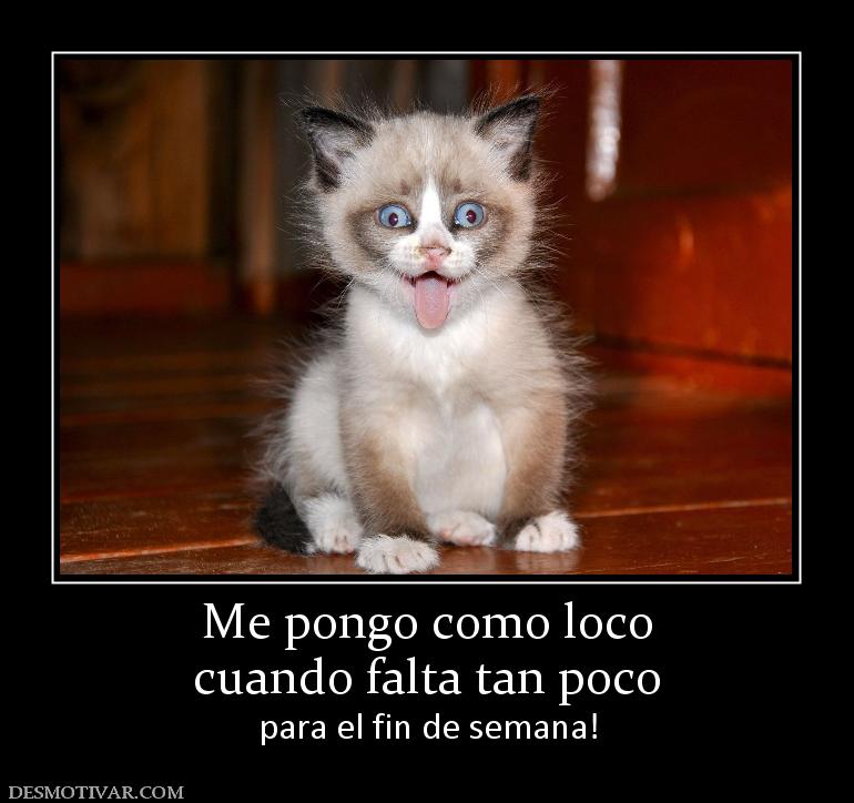 Me pongo como loco cuando falta tan poco  para el fin de semana!