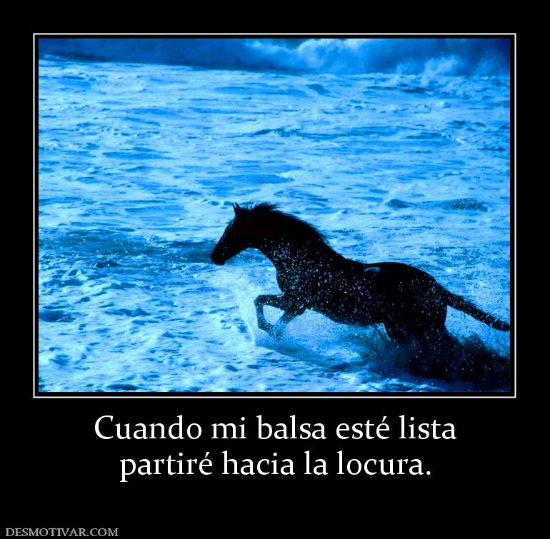 Cuando mi balsa esté lista partiré hacia la locura.
