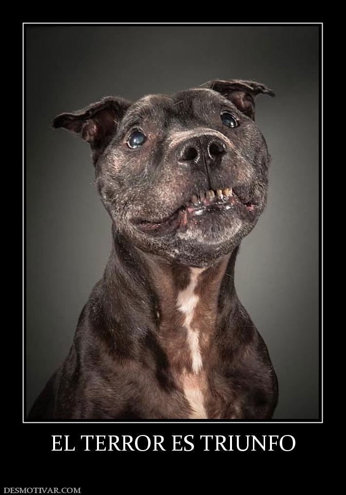 EL TERROR ES TRIUNFO