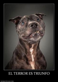 EL TERROR ES TRIUNFO