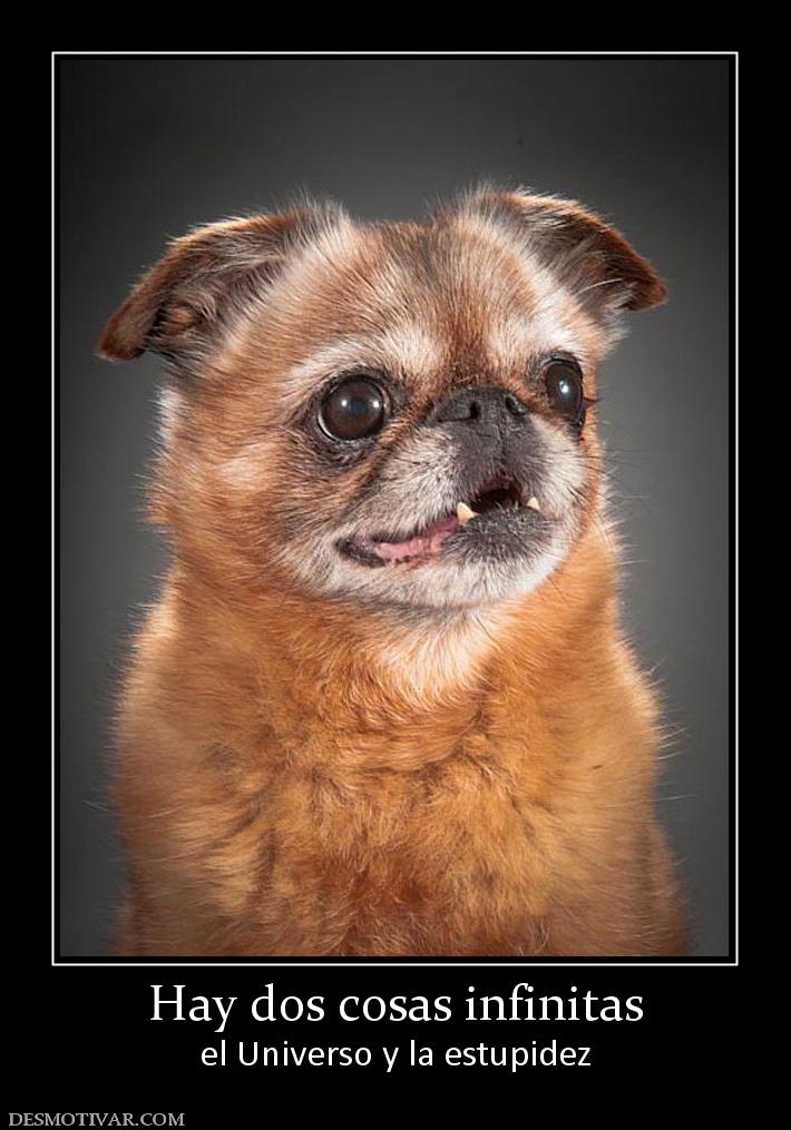 Hay dos cosas infinitas el Universo y la estupidez