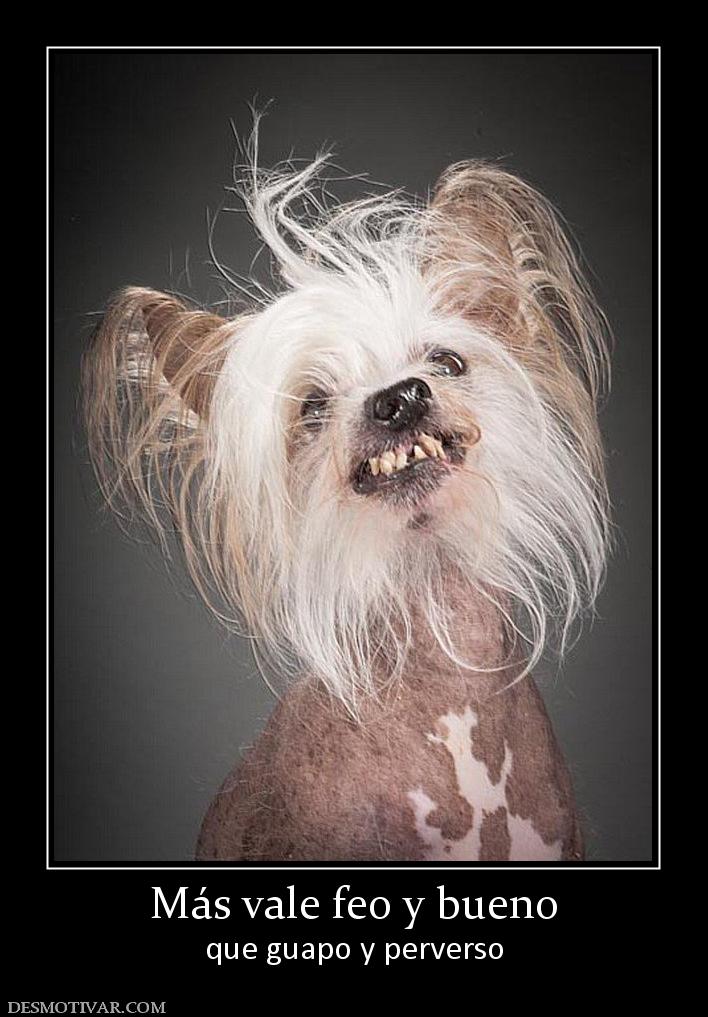 Más vale feo y bueno que guapo y perverso