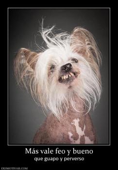 Más vale feo y bueno que guapo y perverso