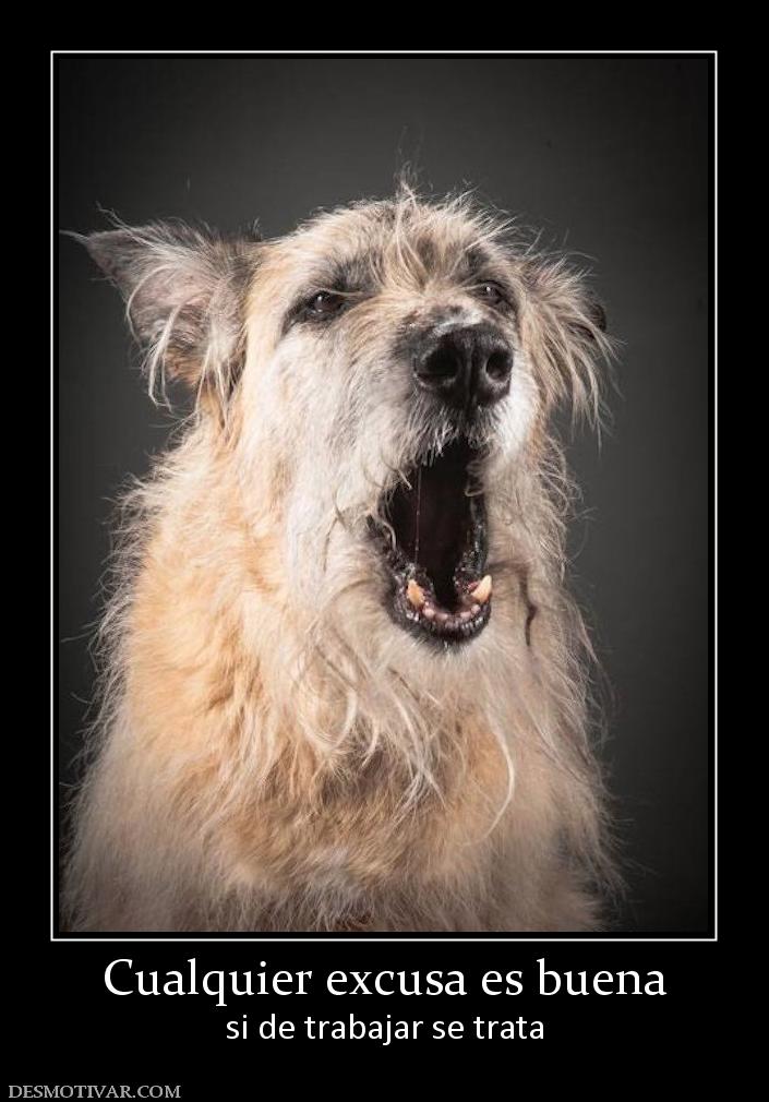 Cualquier excusa es buena si de trabajar se trata