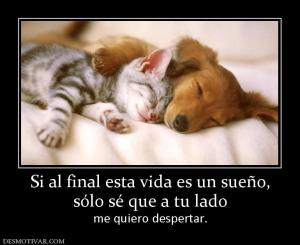 Si al final esta vida es un sueño, sólo sé que a tu lado  me quiero despertar.