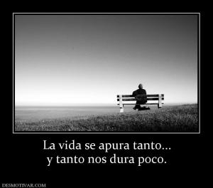 La vida se apura tanto... y tanto nos dura poco.