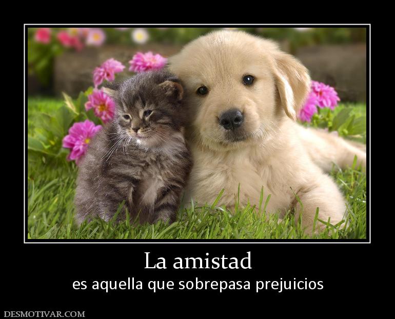 La amistad es aquella que sobrepasa prejuicios