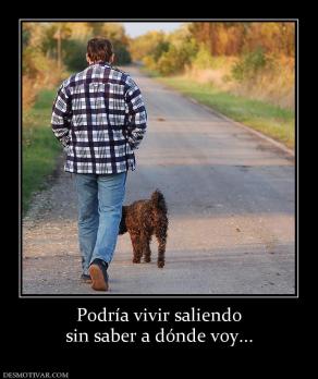 Podría vivir saliendo sin saber a dónde voy...