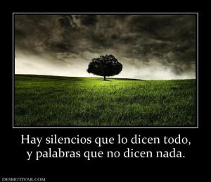 Hay silencios que lo dicen todo, y palabras que no dicen nada.